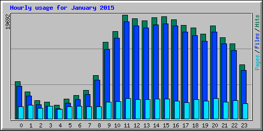 Hourly usage for January 2015
