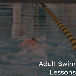 Adult Swim Lessons