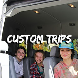 Custom trips
