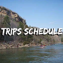 Trips schedule