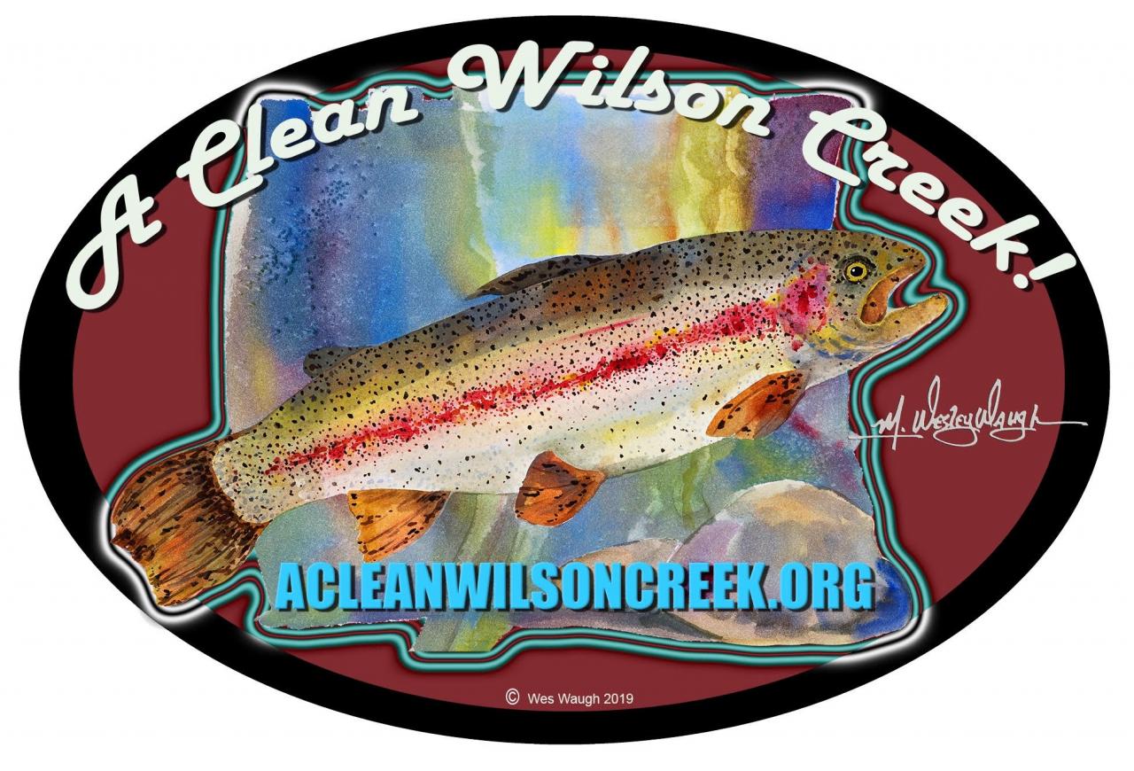 A Clean Wilson Creek