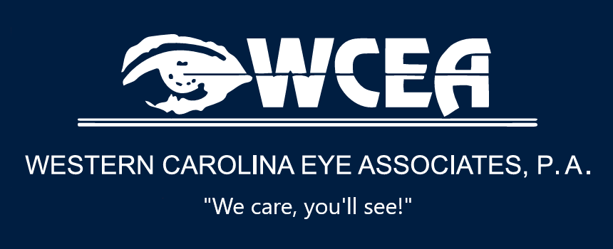 WCEA Navy Logo  002   002   1 