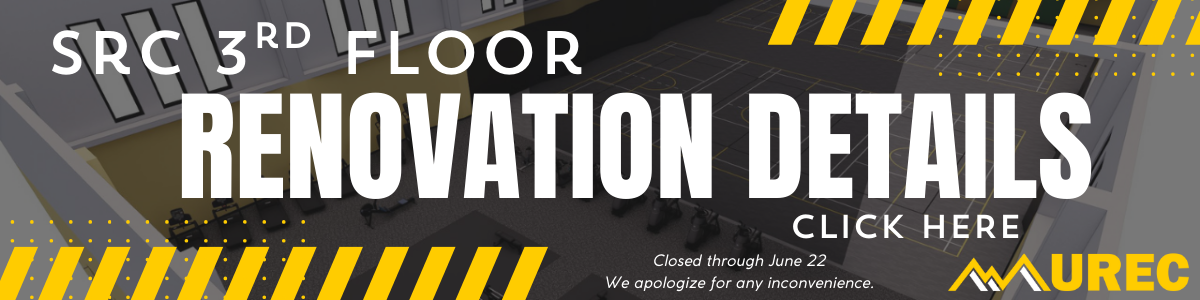 Renovation Details
