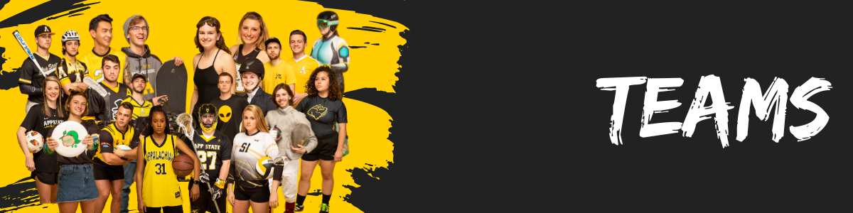 Teams Header