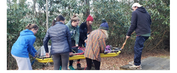 Carrying sled