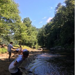 Skipping rocks